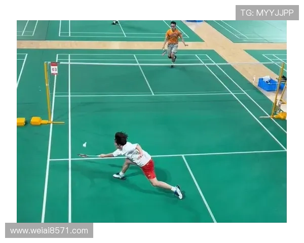 南京羽毛球队实力强劲最新羽毛球个人能力TOP10榜单揭晓