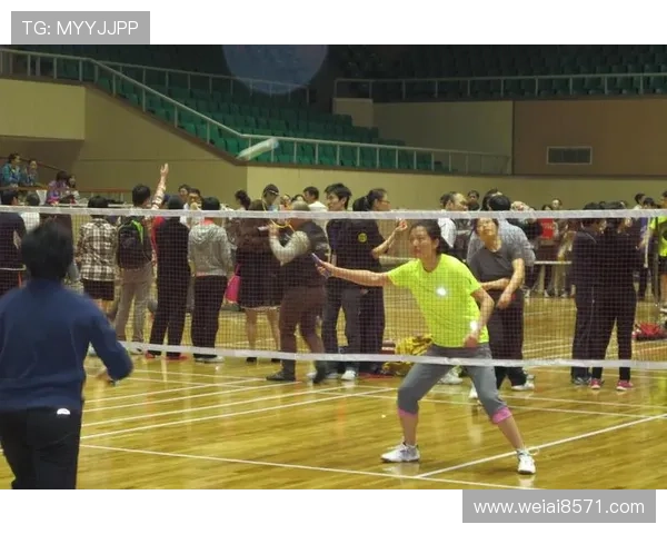 武汉羽毛球队与成都羽毛球队赛后战术分析与复盘探讨